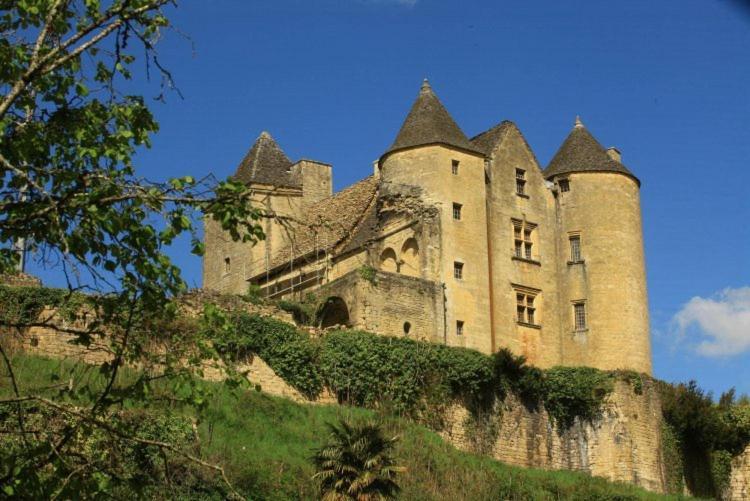 Petite Maison En Pierre Au Coeur Du Perigord Noir Proche De Sarlat Et Rocamadour Salignac Eyvigues Exteriér fotografie