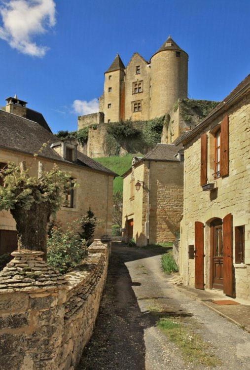 Petite Maison En Pierre Au Coeur Du Perigord Noir Proche De Sarlat Et Rocamadour Salignac Eyvigues Exteriér fotografie