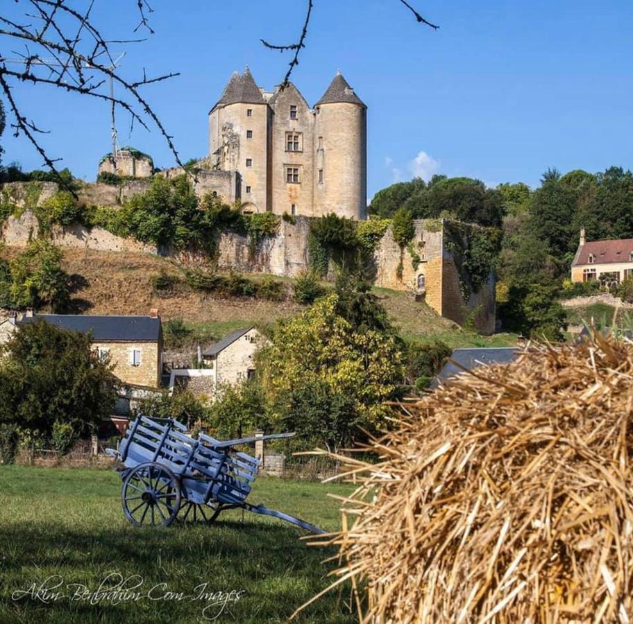 Petite Maison En Pierre Au Coeur Du Perigord Noir Proche De Sarlat Et Rocamadour Salignac Eyvigues Exteriér fotografie