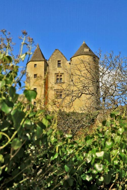Petite Maison En Pierre Au Coeur Du Perigord Noir Proche De Sarlat Et Rocamadour Salignac Eyvigues Exteriér fotografie